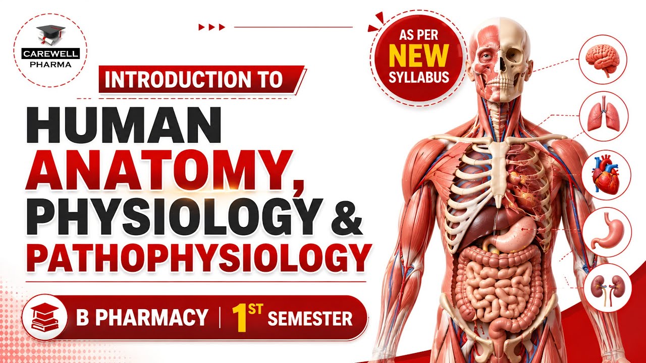 Introduction to Human Anatomy Physiology and Pathophysiology | B Pharmacy 1st Sem | Carewell Pharma