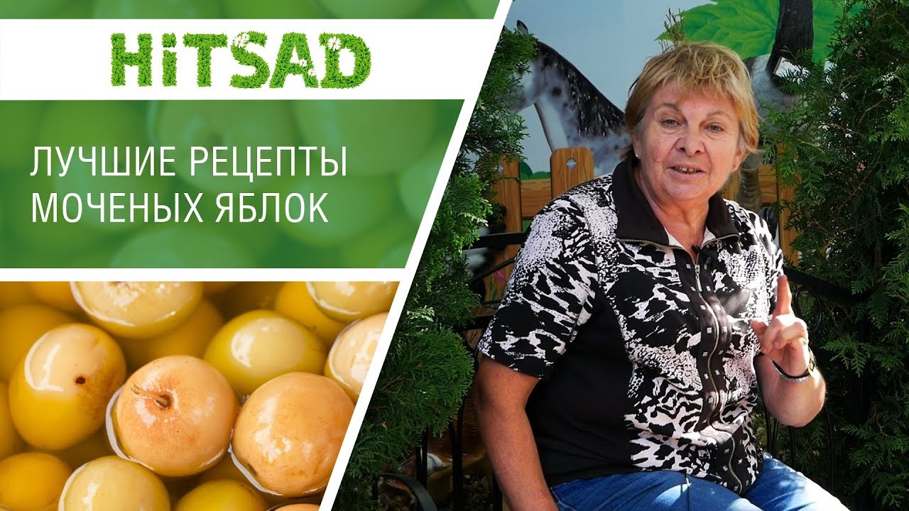 Лучшие рецепты для замачивания яблок 🍏  Моченые яблоки от Хитсад