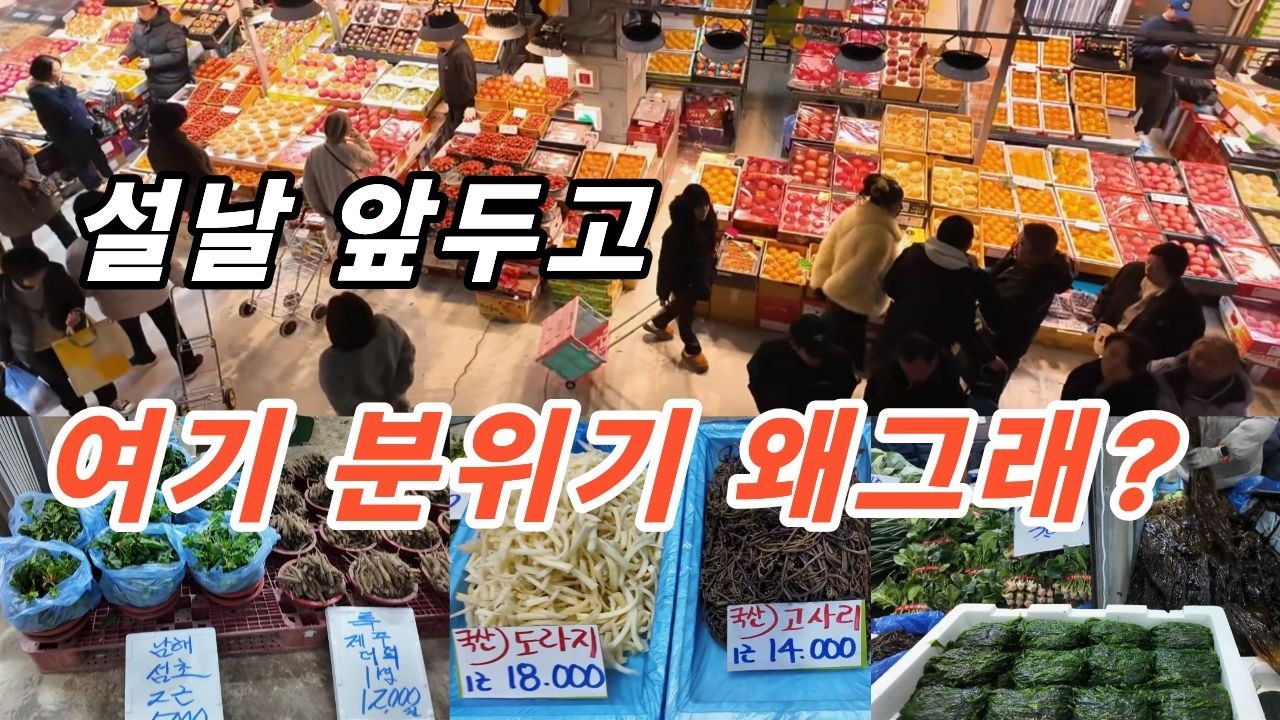 평일날(수요일) 남촌농산물도매시장… 요즘 분위기 왜 이래? ~! 힐링여행