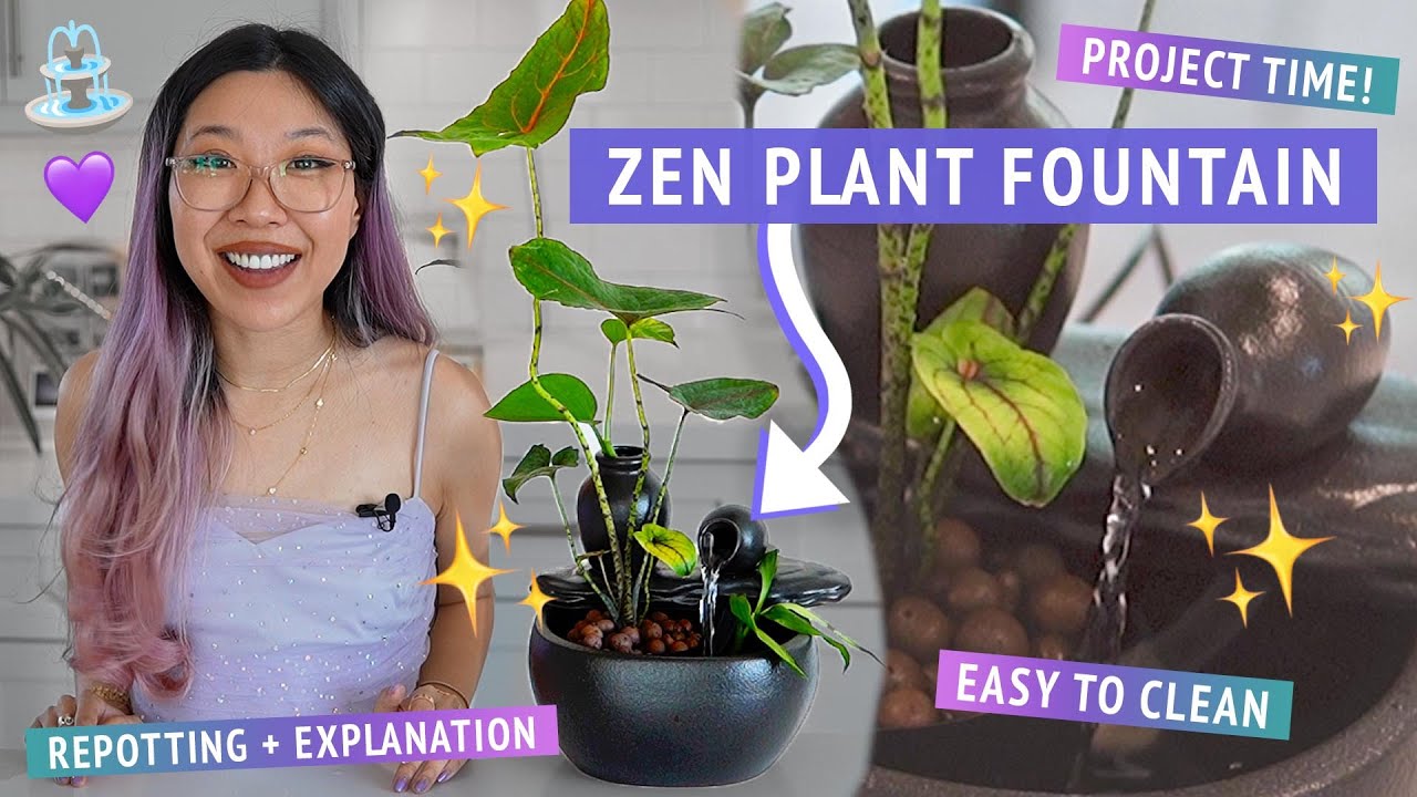 СОЗДАНИЕ КОМНАТНОГО ФОНТАНА ИЗ РАСТЕНИЙ ⛲️🌱🧘‍♀️ проект по пересадке: умиротворяющий водный объект...