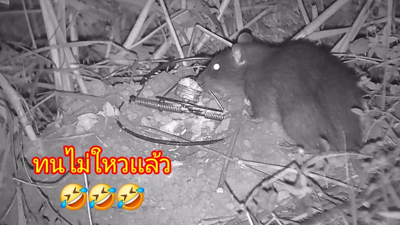 ไม่เคยอู้งานเลย!!!🤣🤣🤣