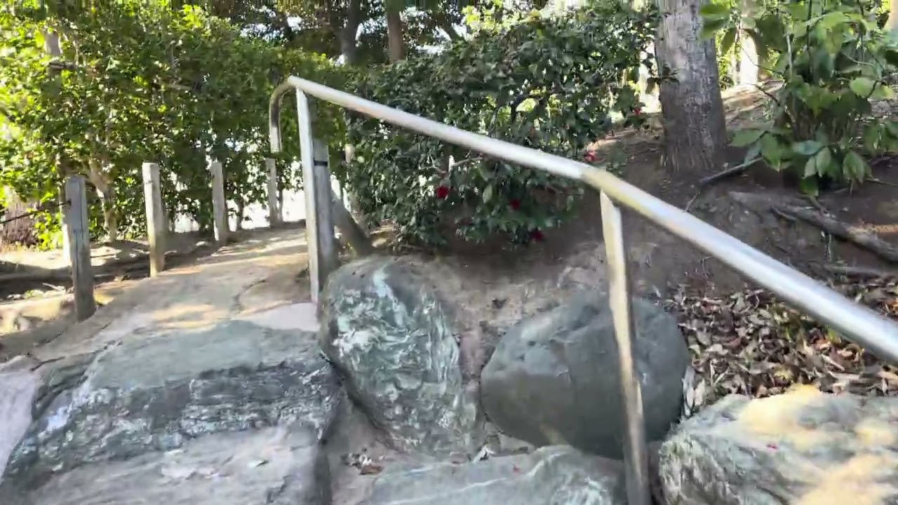 因為走錯路結果發現一處漂亮的庭園