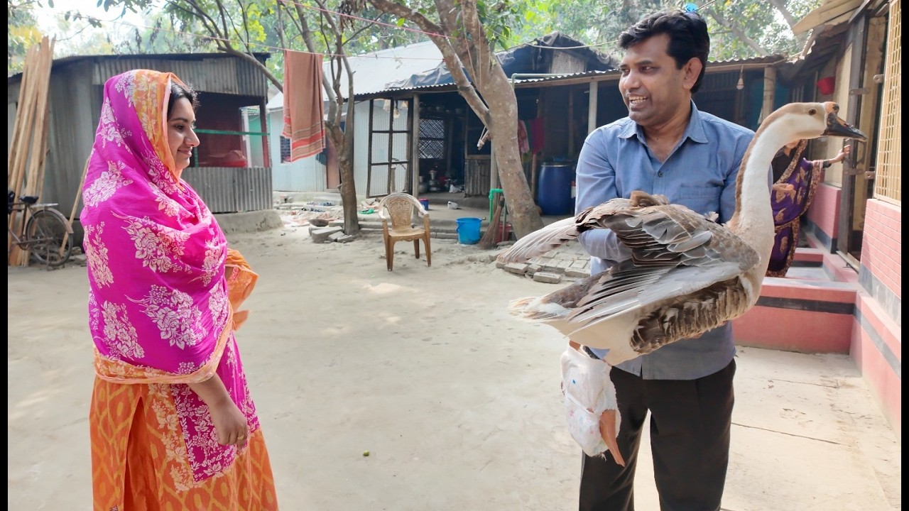 ডায়াপার পড়ানো রাজহাঁস উপহার দিলাম আমার শালীকে | Doyel Agro