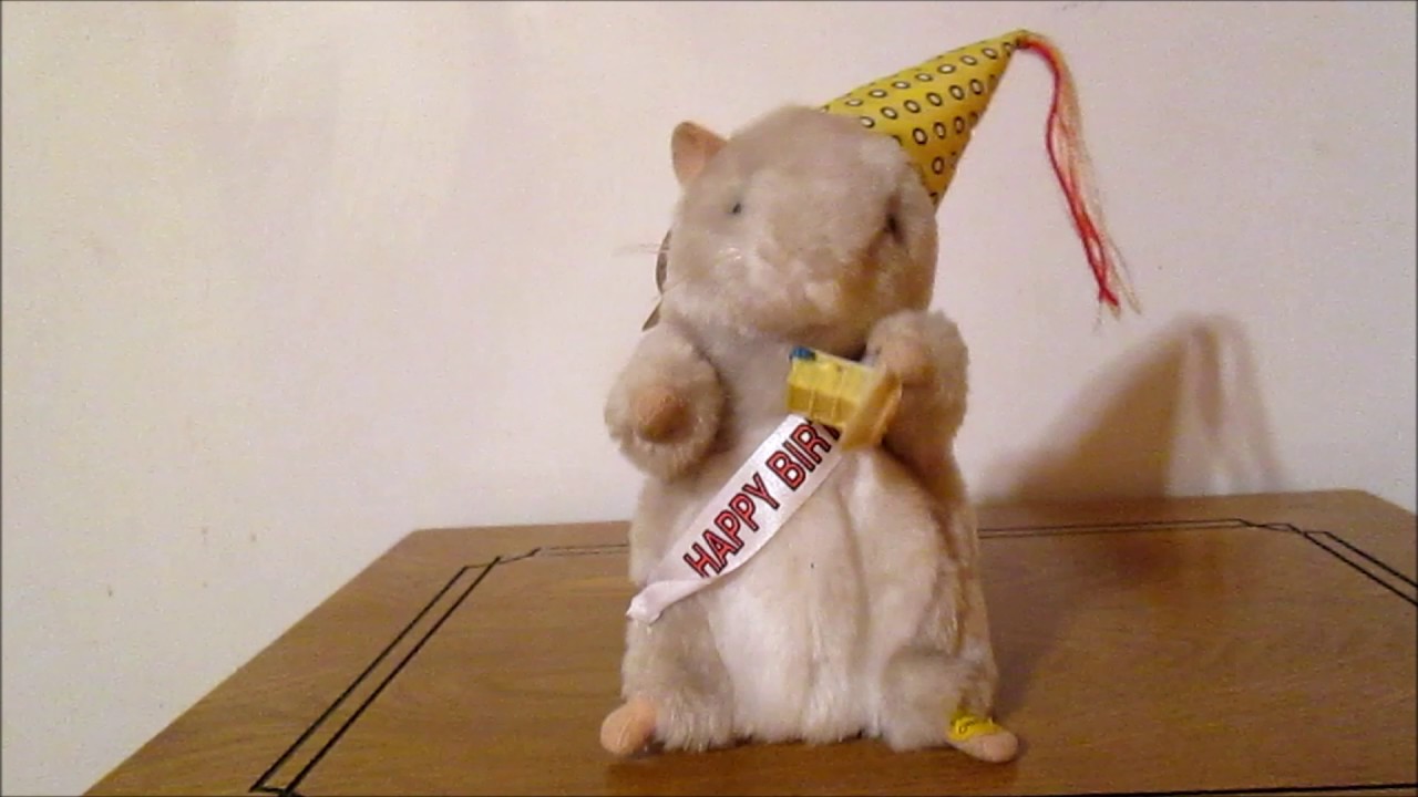Dancing Hamster - Birthday