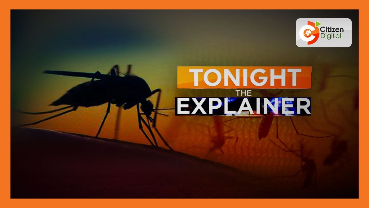 Malaria in Kenya | Focus on symptoms, treatment and vaccines progress