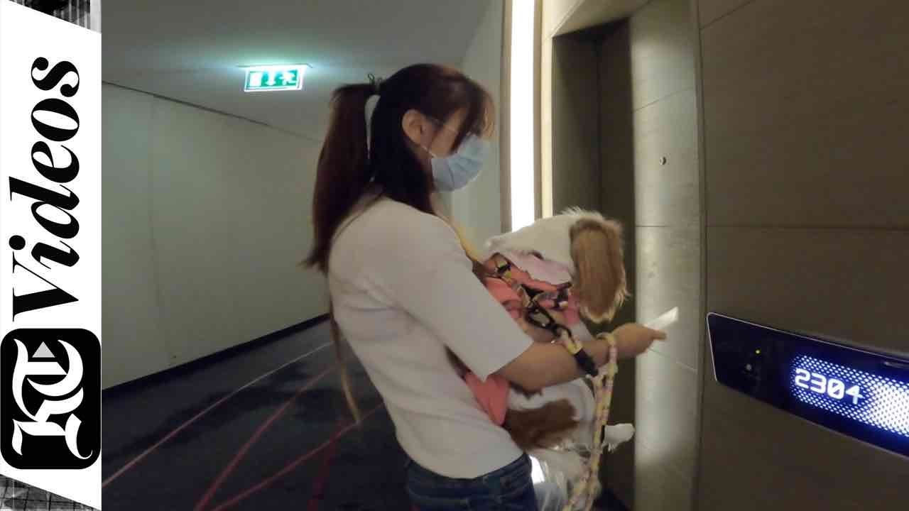 Abu Dhabi's first luxury Pet-friendly hotel