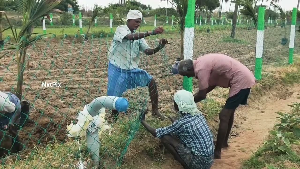KingMakers Properties | Farming Land 15th Site @ ECR | Agriculture Land Sales - Price 125 Sqft*