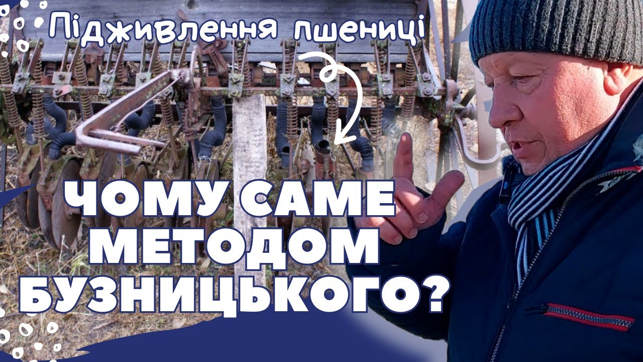 ПІДЖИВЛЕННЯ ПШЕНИЦІ | Чому саме методом Бузницького?