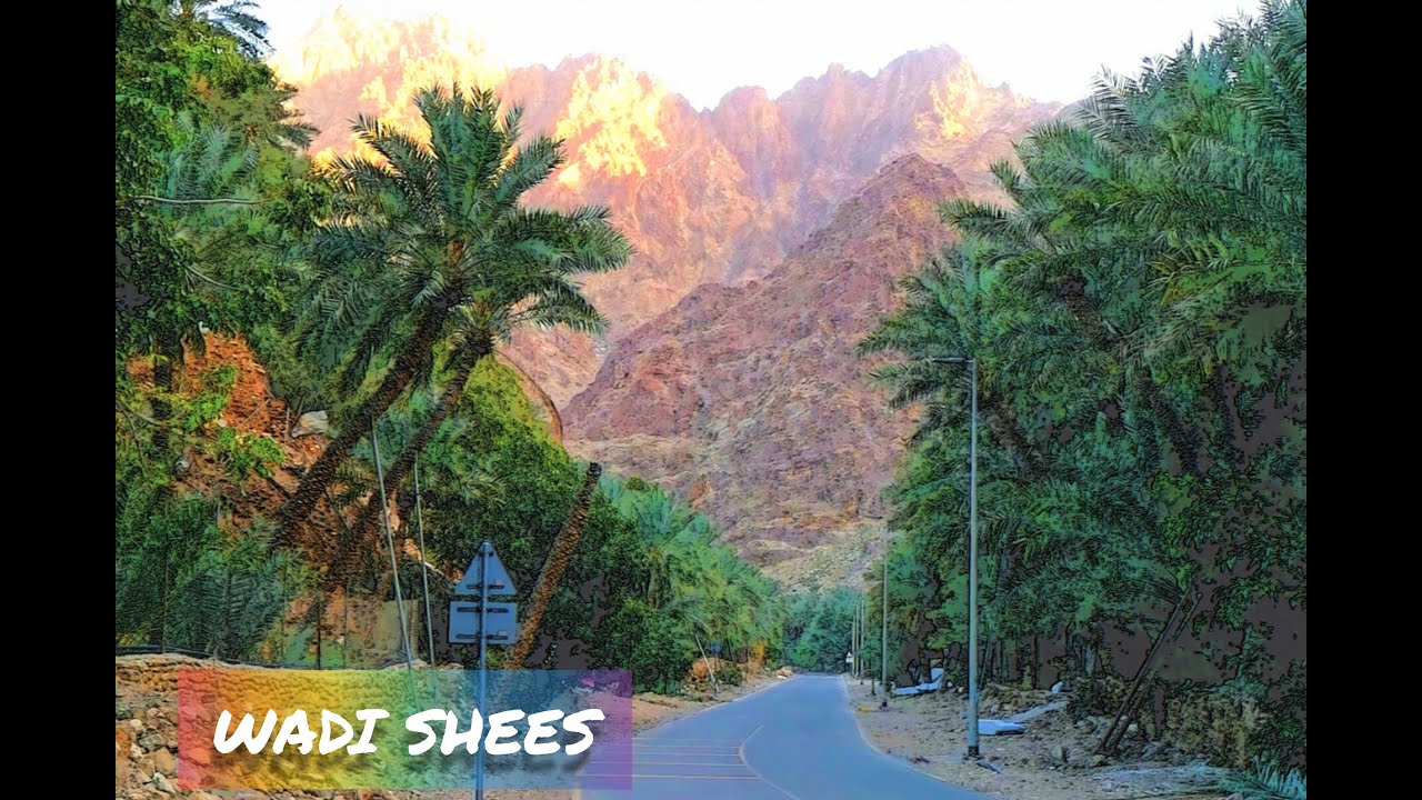 Shees valley .. وادي شيص
