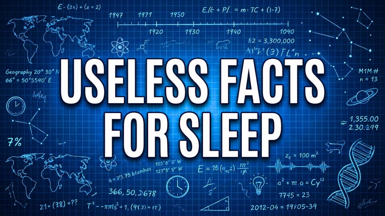 A Solid 3.5 Hours of Useless Information to Fall Asleep To 😴