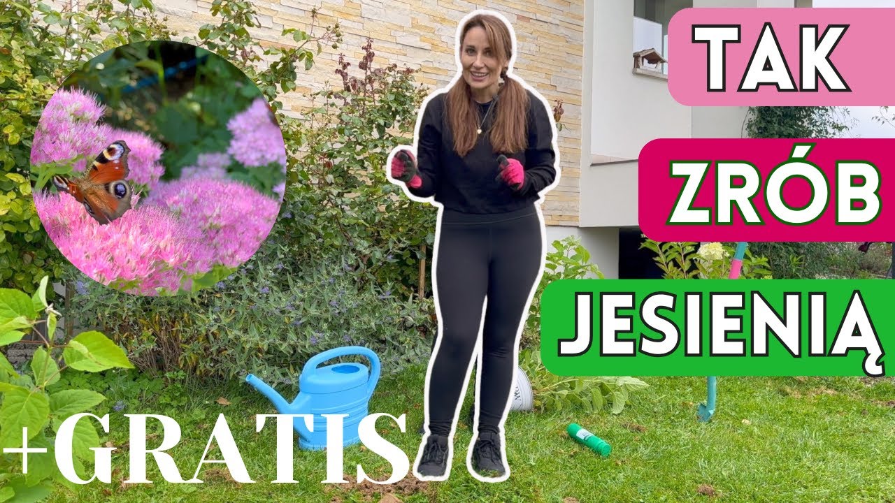 NOWA RABATA NA KARTONACH - TAK SADŹ ROŚLINY JESIENIĄ