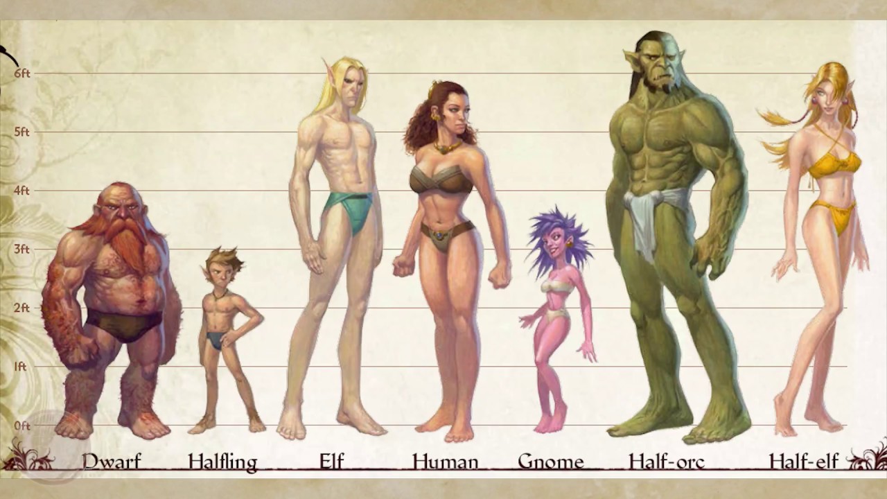 Pathfinder Adventuring 101 - Episode 1: Race/Class Overview