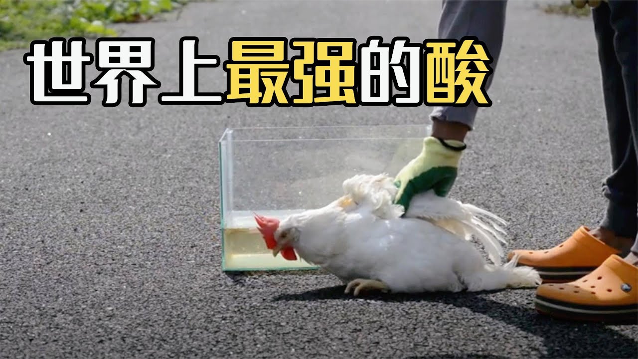 酸性极强的酸是什么？把整只鸡放入其中，难得一见的现象发生了
