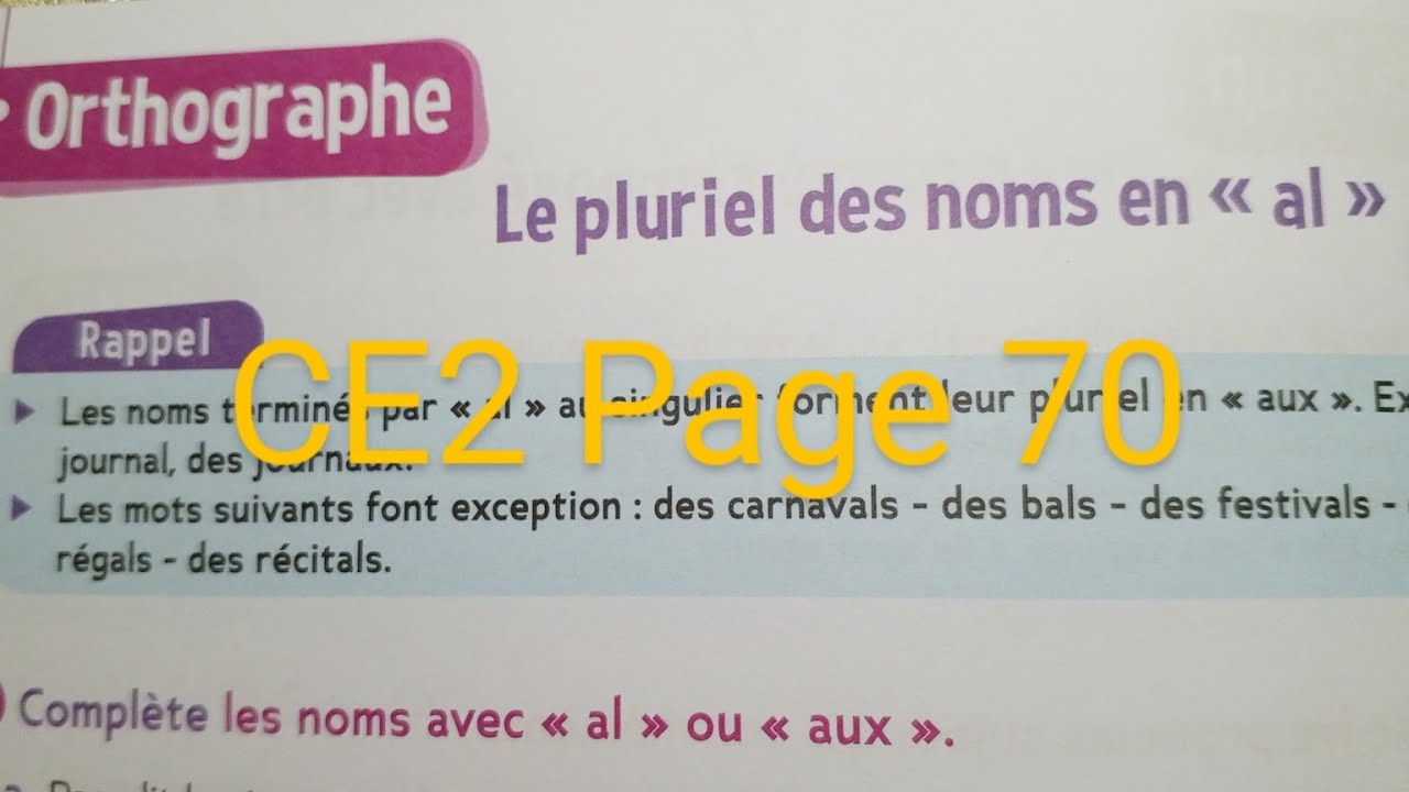CE2 : Orthographe :  Le pluriel des noms en 