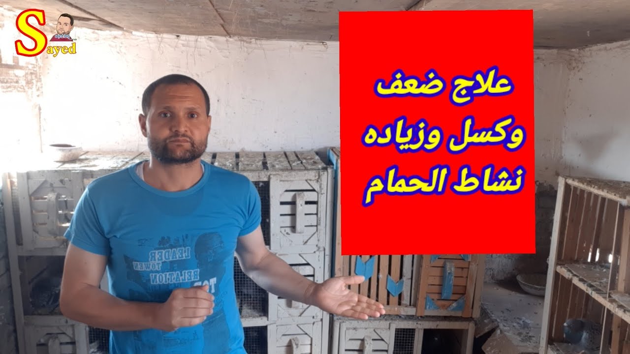علاج كسل وضعف الحمام والتخلص من السموم#ذياده الحركه والنشاط في ثلاث ايام ذياده الأوزان وفاتح الشهيه