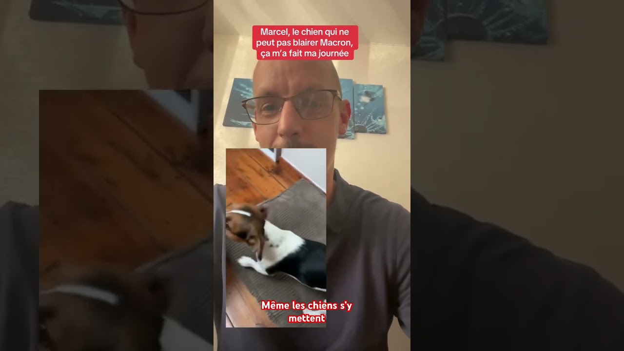 Marcel le chien qui peut pas blerer Manu #gouvernement #news #questcequejedevraischoisir