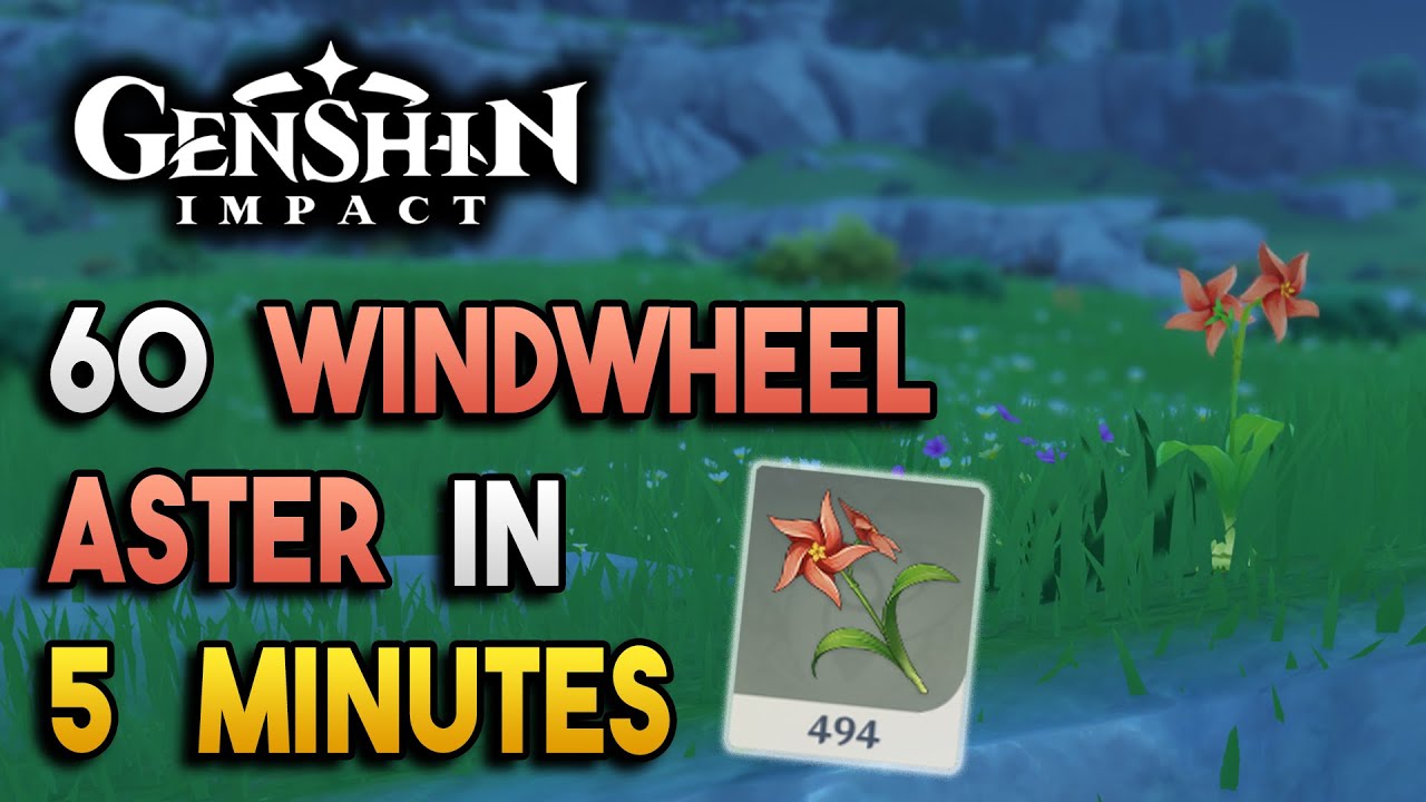 Windwheel Aster Locations - Fast and Efficient - Ascension Materials -【Genshin Impact】