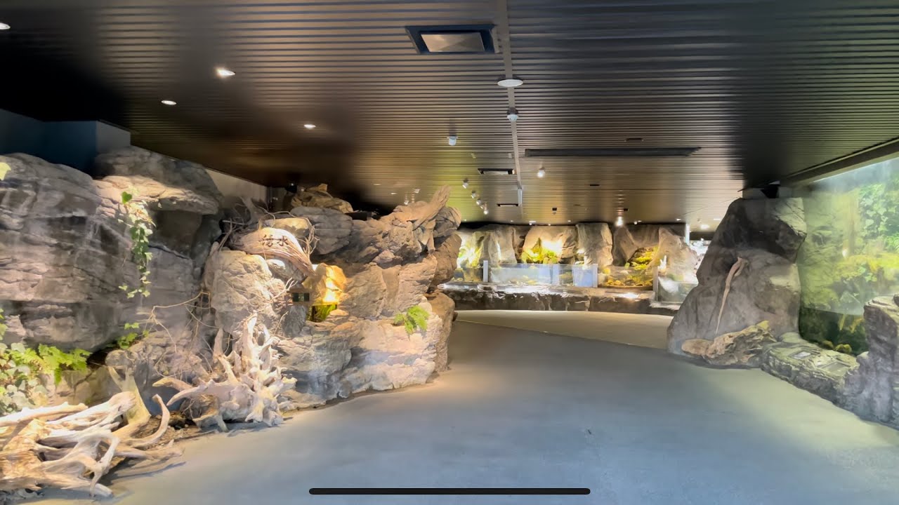 【4K】Kamogawa Seaworld Eco Aqua Roam (Jan.2021) 【Japan】