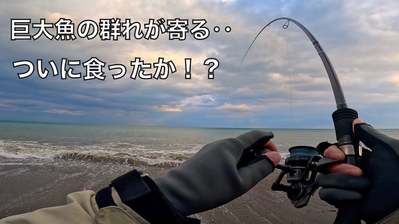 140㎝オーバーの巨大魚がいる砂浜からルアー釣りをし続けた結果‥