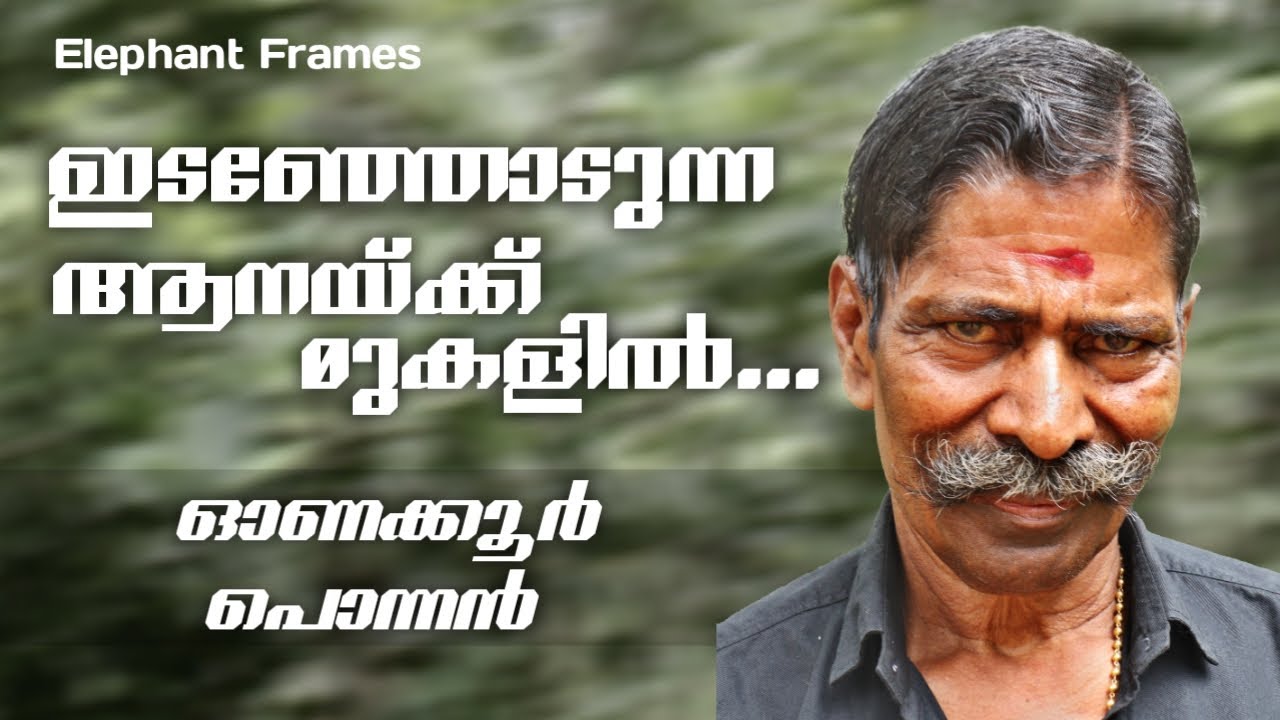 ആനപ്പണിയിലെ റിസ്ക് | Onakkoor Ponnan | Elephant Frames | PART 16