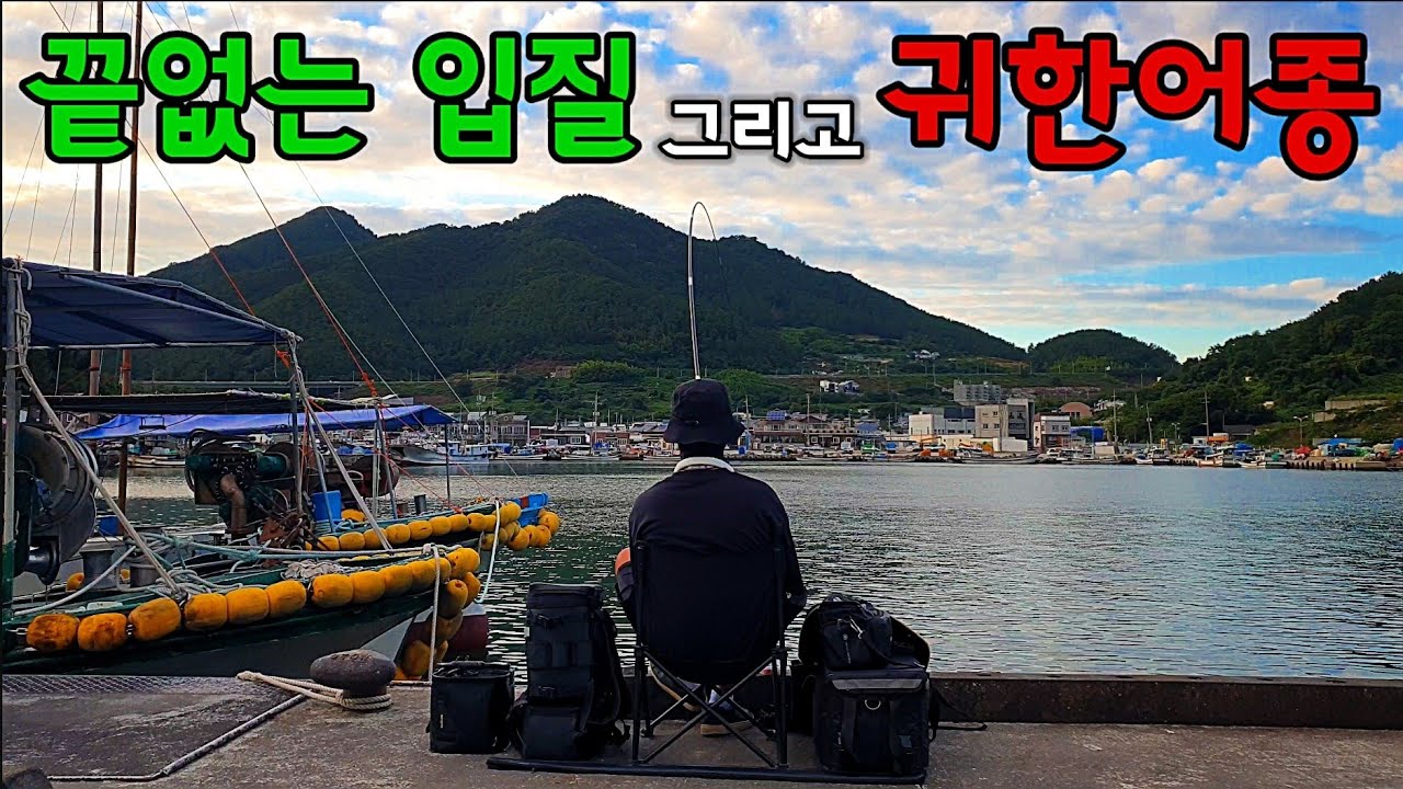뜻밖의 귀한 최고급어종/5초에 한마리/누구나 잡는 민장대낚시/차박낚시여행/자급자족