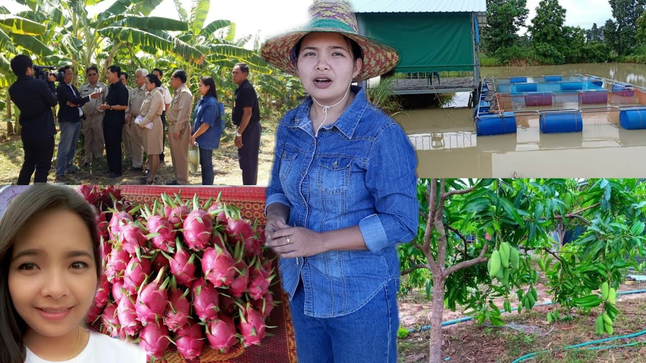 ไร่นาสวนผสมแปลงชนะเลิศอันดับที่๓ของประเทศ!!เกษตรกรคนสวยเก่งด้วย..นี่แหละของจริง