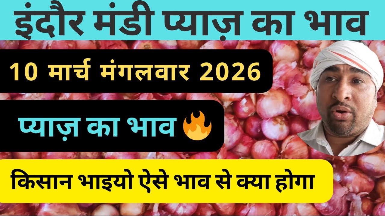 indore mandi pyaj ka bhav​ प्याज का भाव #lahsunaajkabhad 