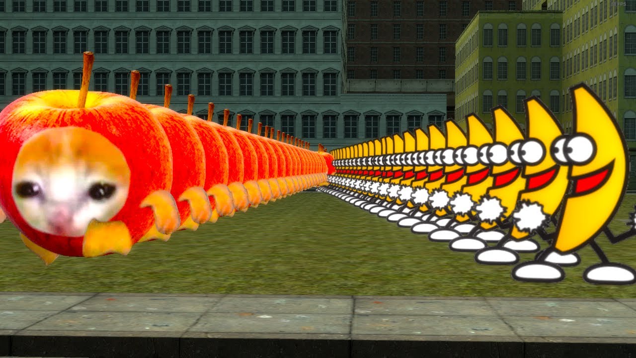 too much Banana and Apple Cat Nextbot... #gmod