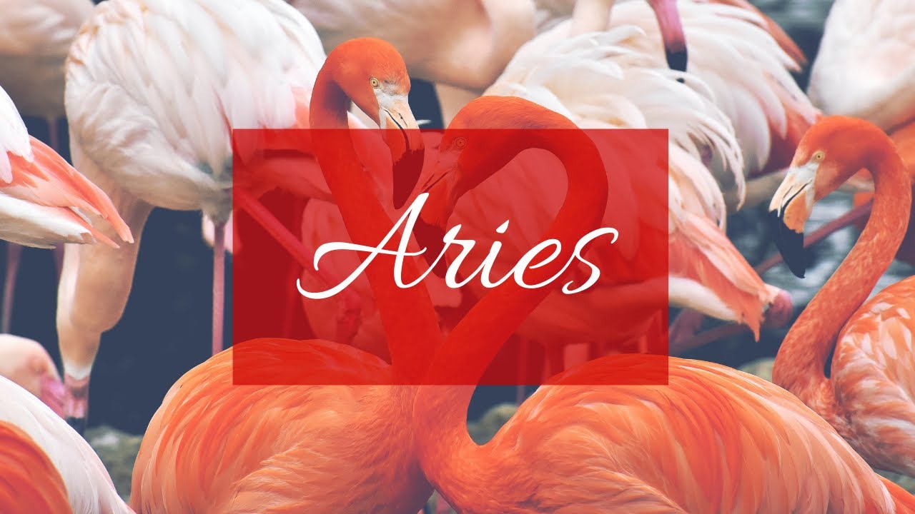 Aries❤️The one you are not talking to right now:Their thoughts, feelings, intentions & actions!