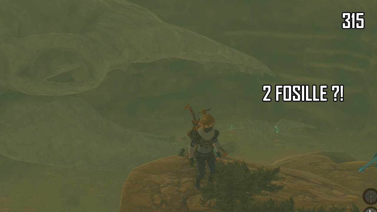 Zelda Tears of the Kingdom #315 – Kolosswal-Fossil Gerudo | Nebenquest (1440p60)