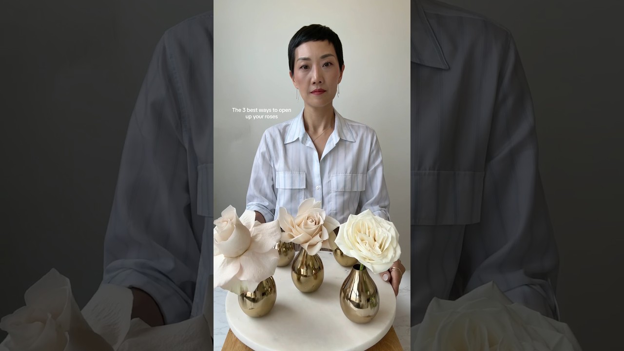 3 best ways to open up your rose #rose #rosearrangement #flowers #flowerarranging