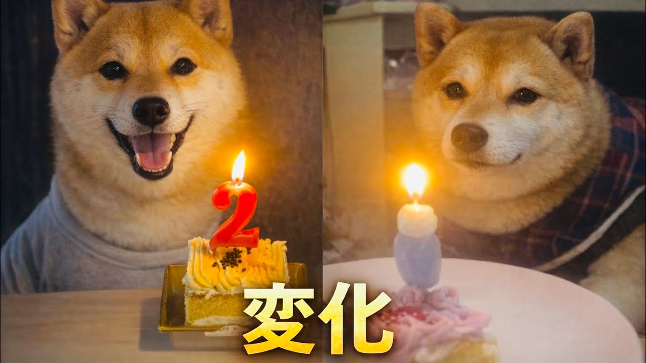 4年で、こんな顔になるとは..