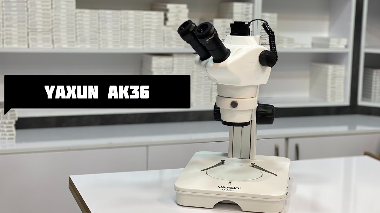 YAXUN YX-AK36 8X--50X Professional binocular stereo microsope high quality Mobile phone repair