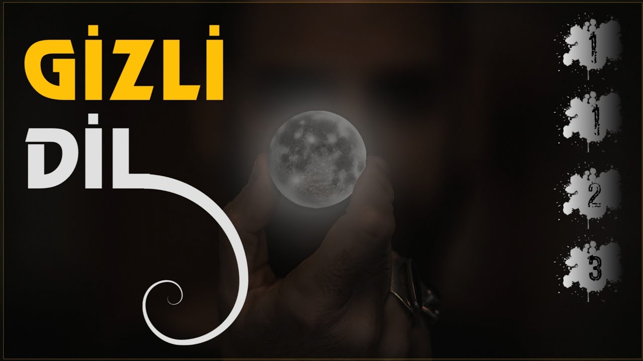 Sayılar: Evrenin Konuştuğu Gizli Dil