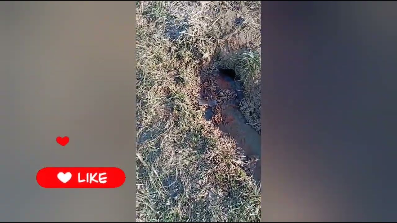 PRAMEN vody pod Zbožnovem ledna 2026