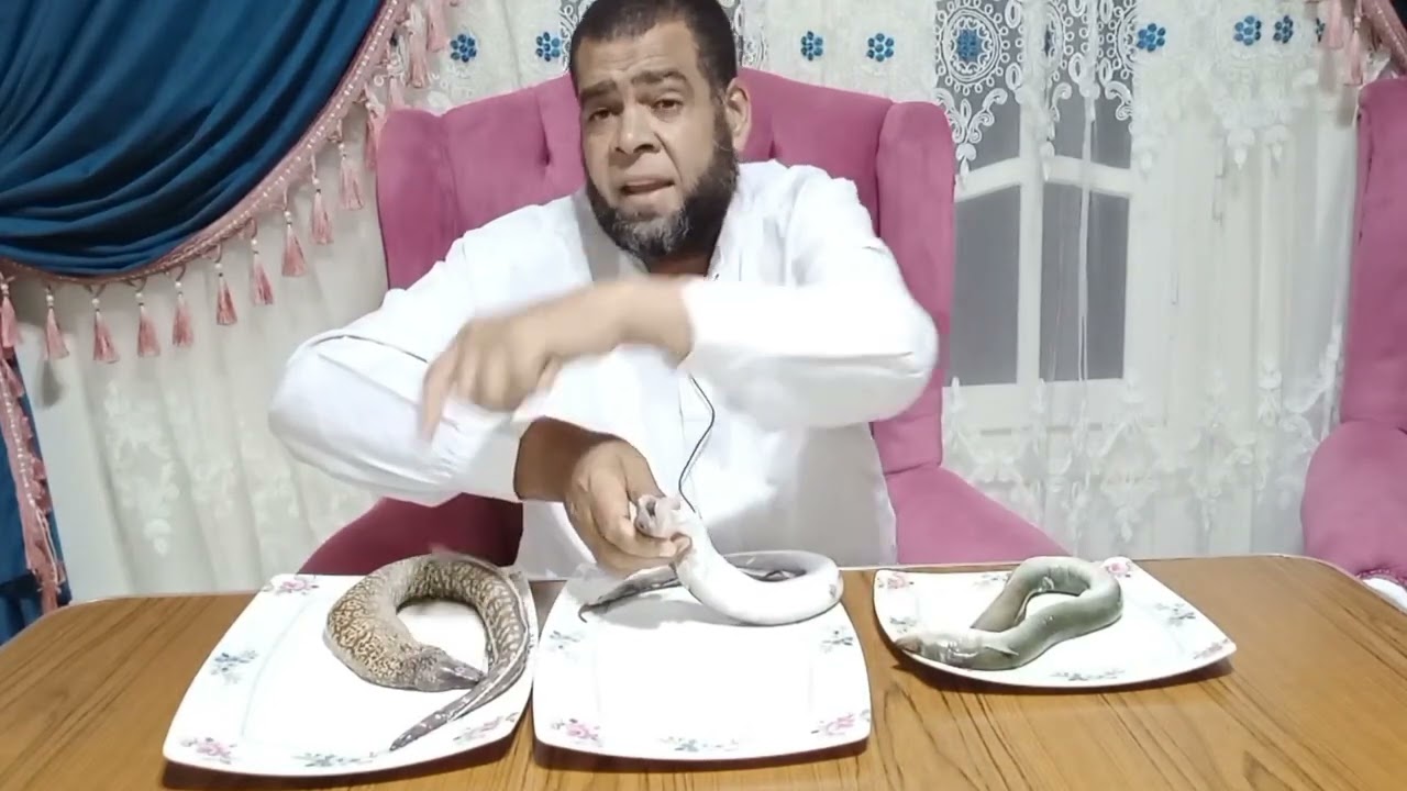 حناش البحر وأنواعها وأفضلها . وعشان محدش يغشك فيها