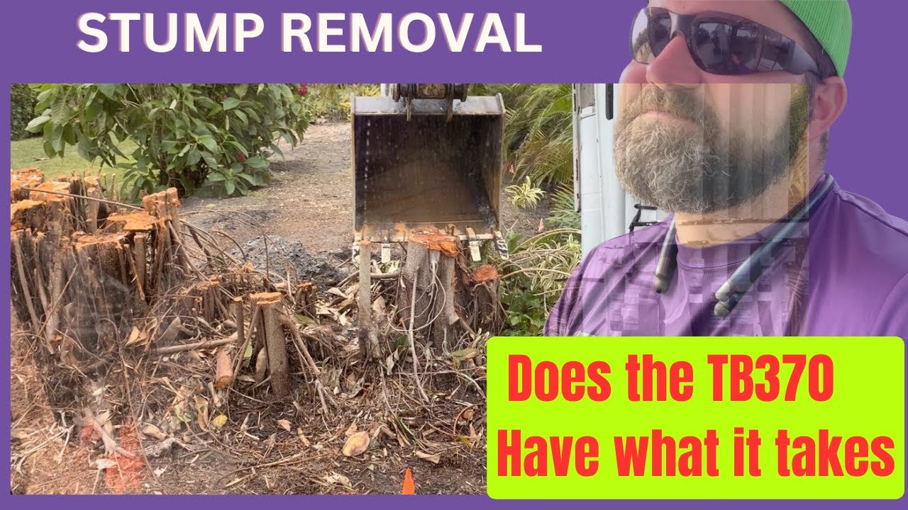 Removing Stumps in Sarasota, with the TAKEUCHI TB370 Compact Excavator