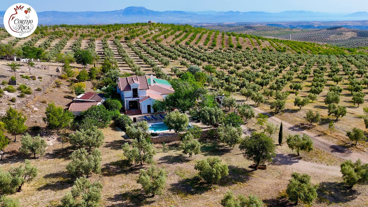 Cortijo Rica , casa rural near Santa Cruz del Comercio, Privacy Guaranteed
