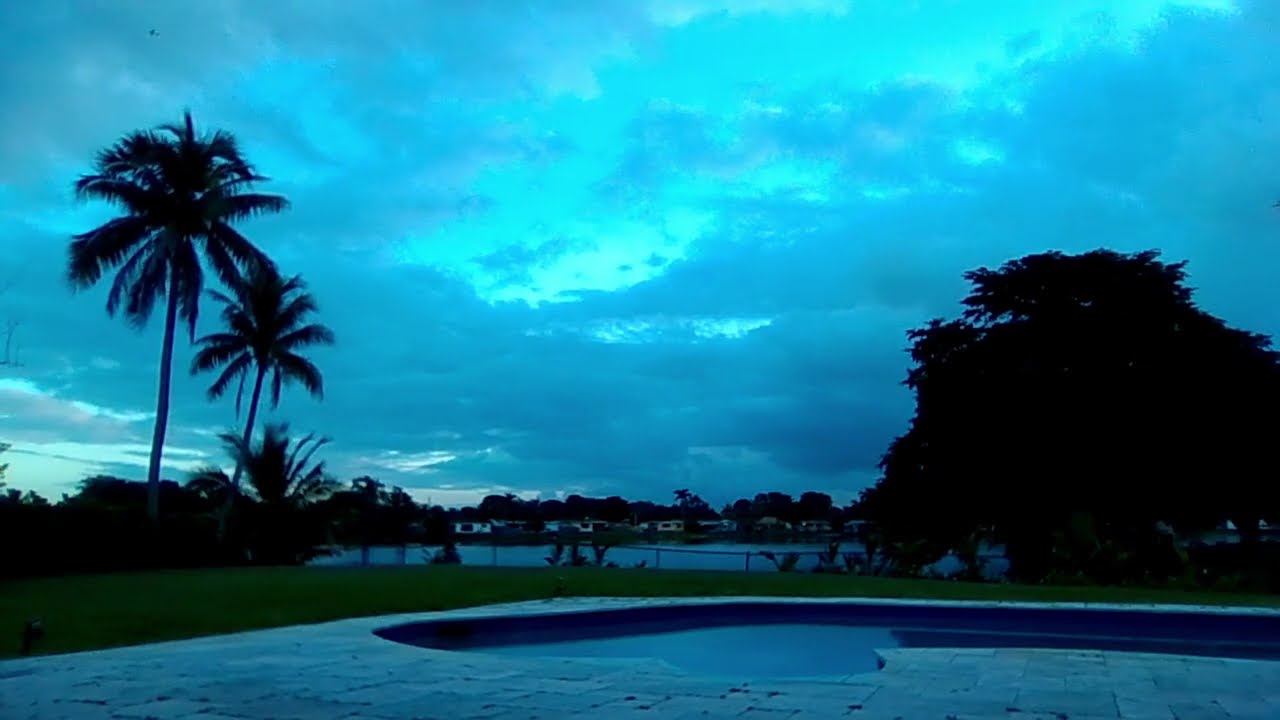 Background Music | Backyard Bliss | Relaxing Music + Nature Time-Lapse Aesthetic