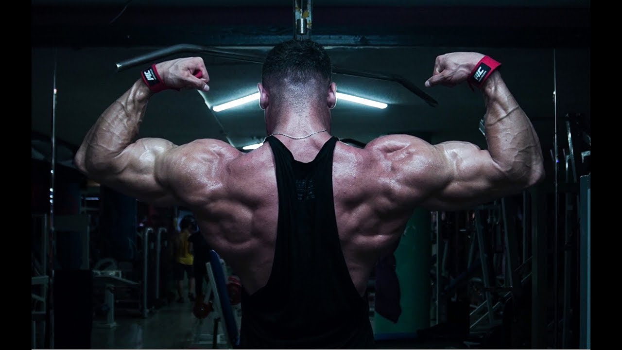 Elite Genetics - @gokalaf