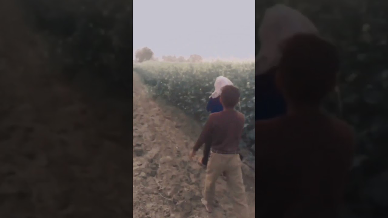 ruk ja piriti teri bahn ka pitriti🤣🤣🤣🤣🤣🤣