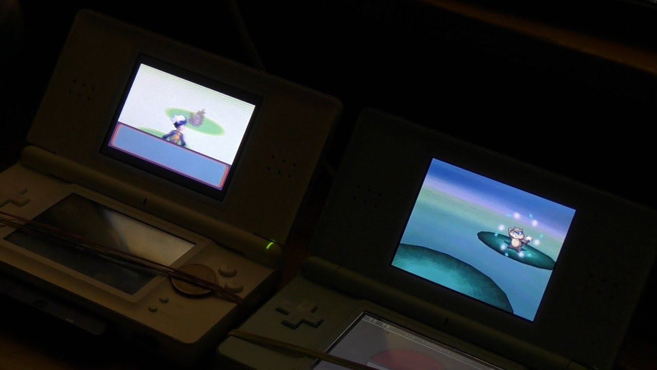 ✨[URQ#2][LIVE] Ratentif/Patrat Shiny sur la Route 1 !✨
