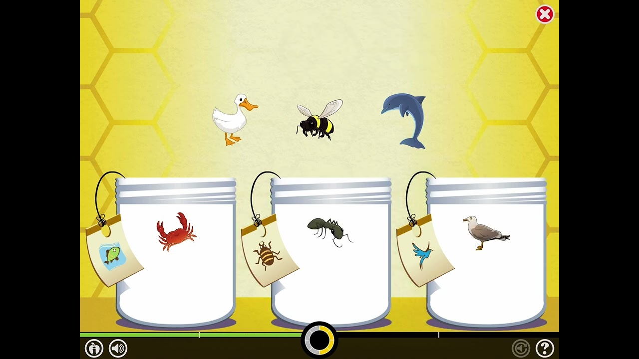 Level 1 || Categorizing Pictures ￼