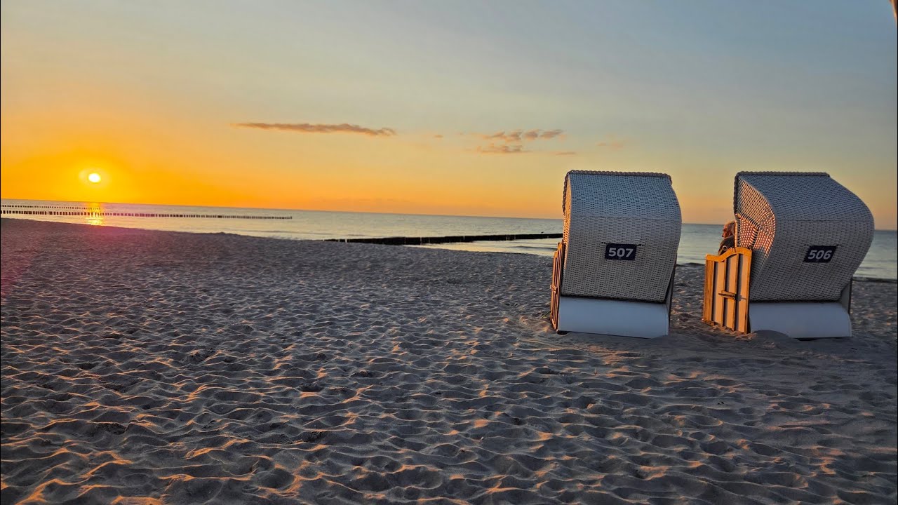Super schöner Camping uWohnmobilhafen Am Fresenbruch auf Zingst, direkter Zugang zur Ostsee herrlich