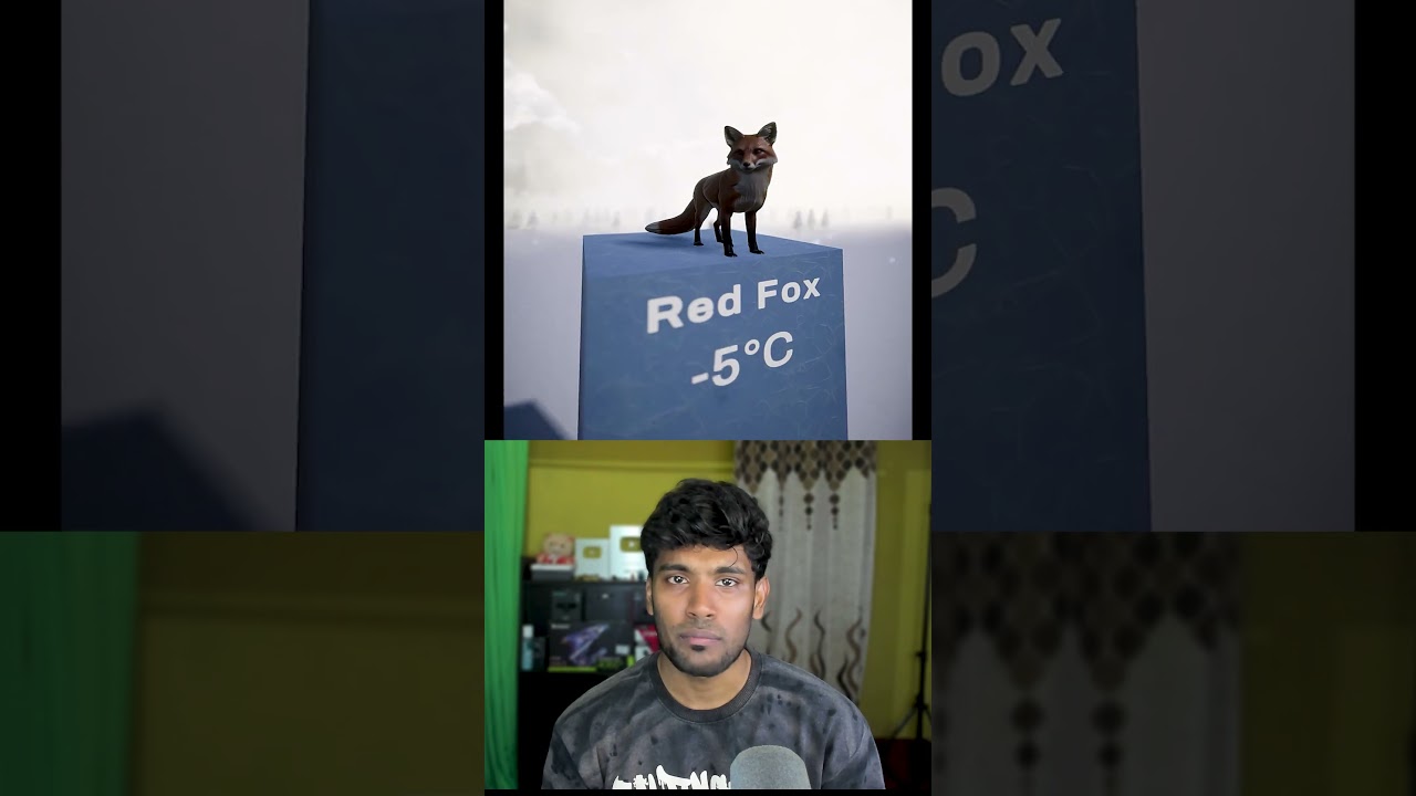 Coldest Temperature Animals Can Survive!