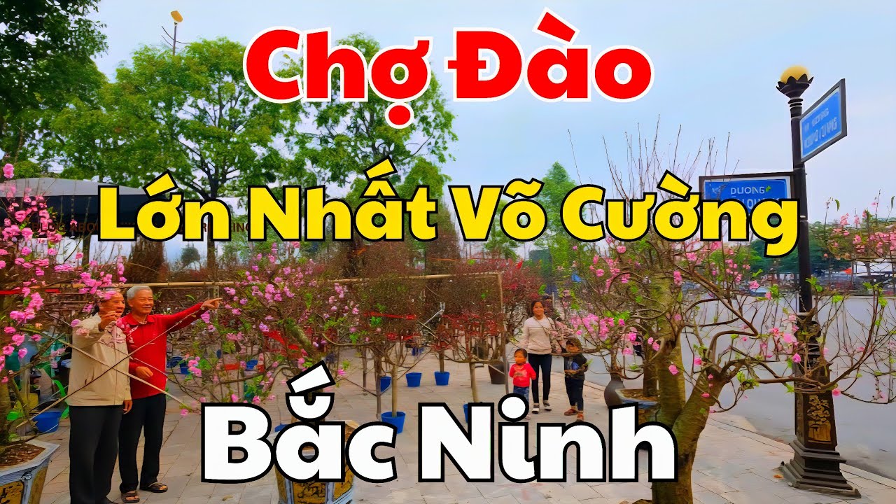 Chợ Hoa Đào, Quất Tết 2026 Lớn Nhất Võ Cường Bắc Ninh