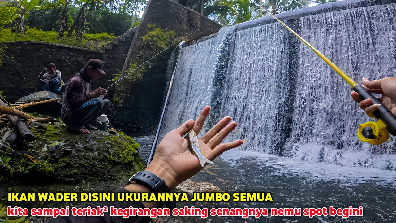 🍃 IKAN WADER DISINI UKURANNYA JUMBO SEMUA 💥 Kita sampai teriak² kegirangan saking senangnya ✅