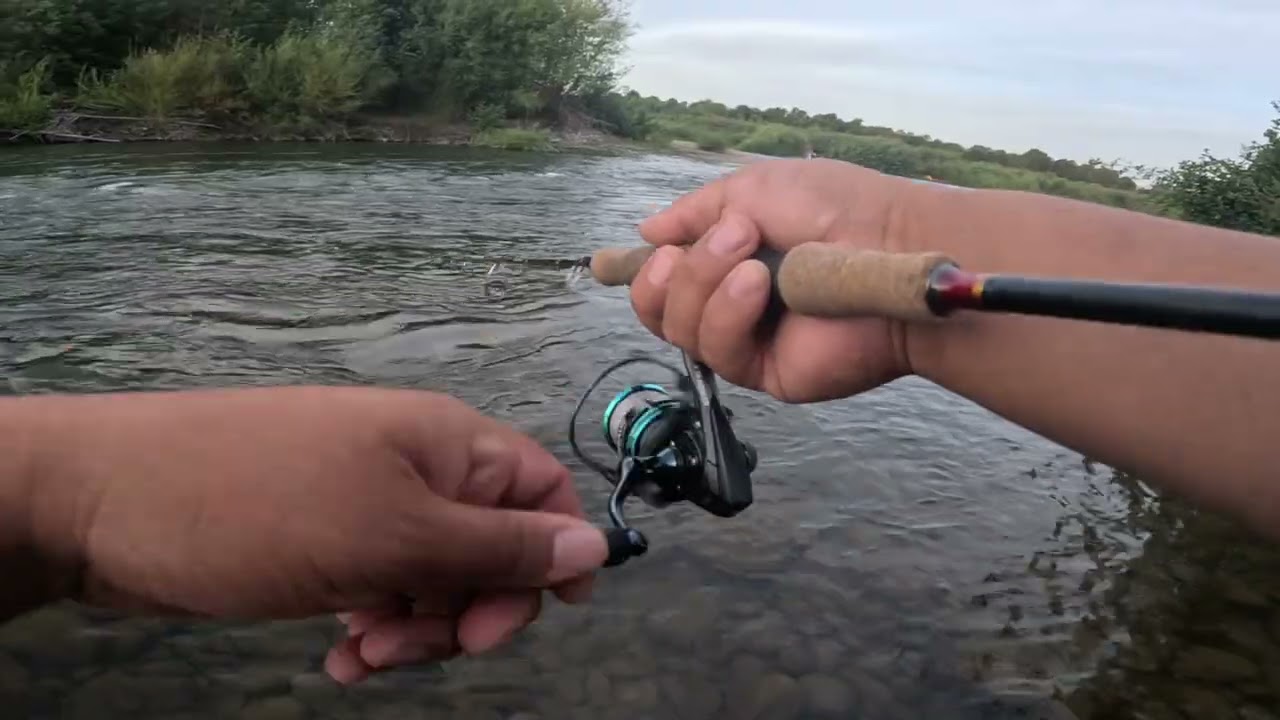 Una buena jornada de pesca