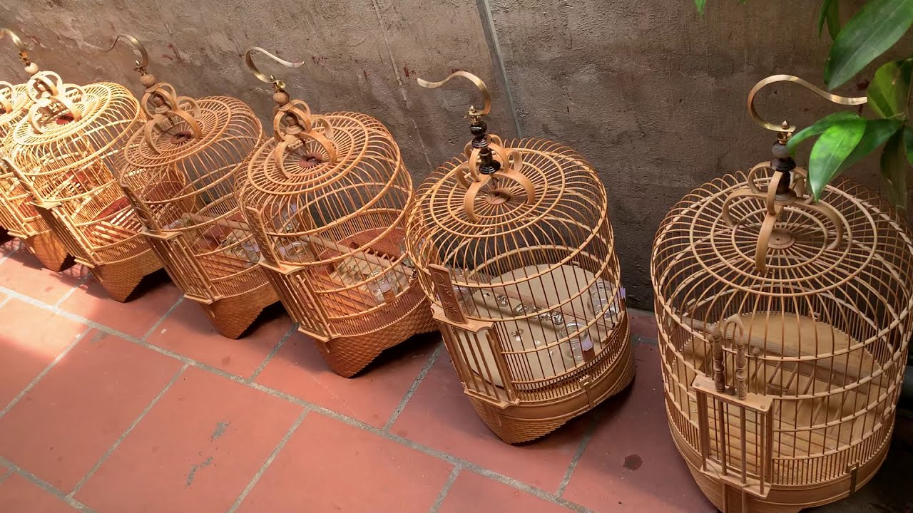 Lồng Họa Mi Lạng sơn - Tuyệt vời nhất với Chim Họa Mi tại nhà Cám Đất Việt   0908070555 / 0944114410
