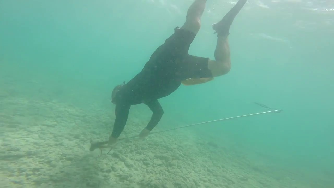 Kaneohe Bay Tako 2017